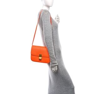 Celine Phyton Skin Box Crossbody Bag with Gold Accent